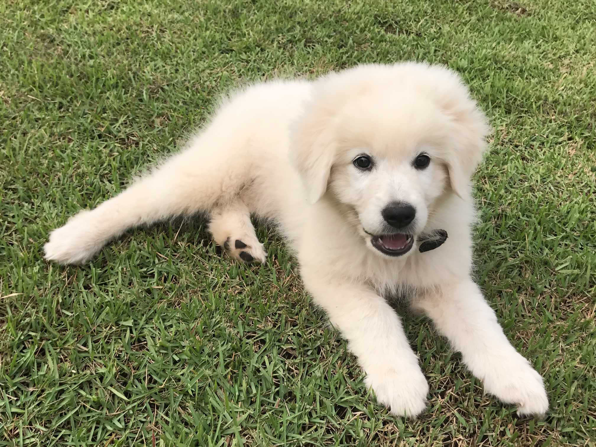Thula, fundadora da La Chouchoute